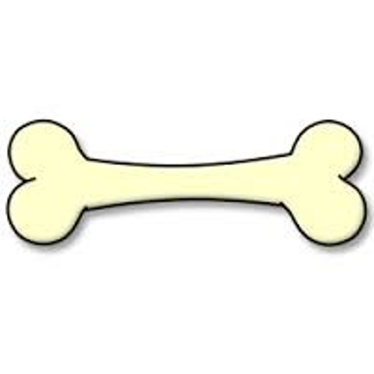 <p>bone</p>