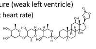 <ul><li><p>used in systolic heart failure (weak left ventricle)</p><ul><li><p>increase contraction strength</p></li></ul></li><li><p>reduces hospitalizations</p></li></ul>