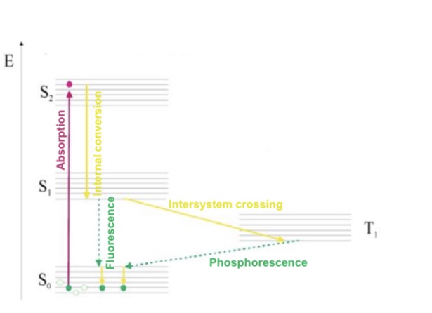 Jablonski diagram 