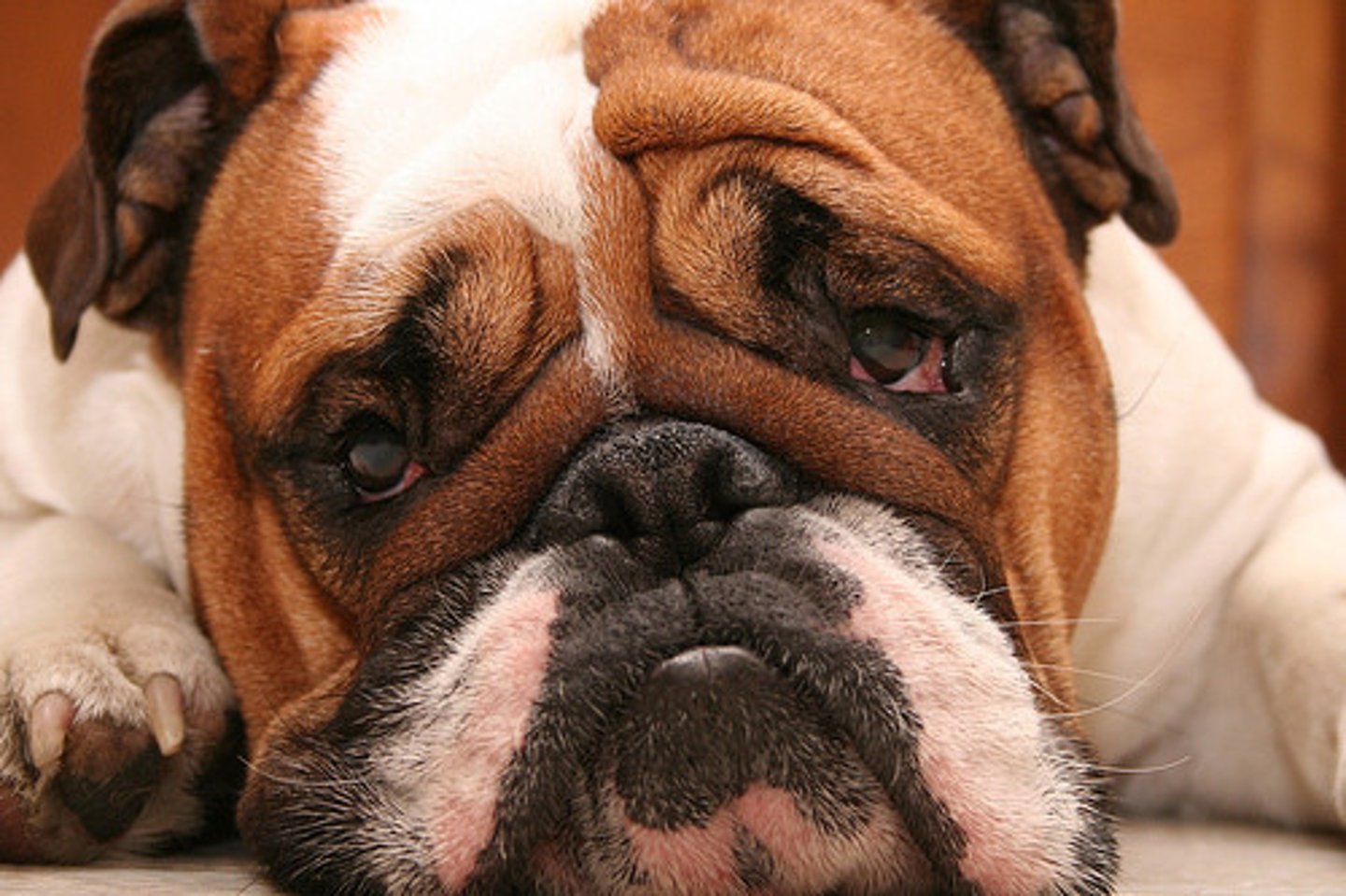 <p>(n. sing.) 令人惋惜或遺憾的事</p>