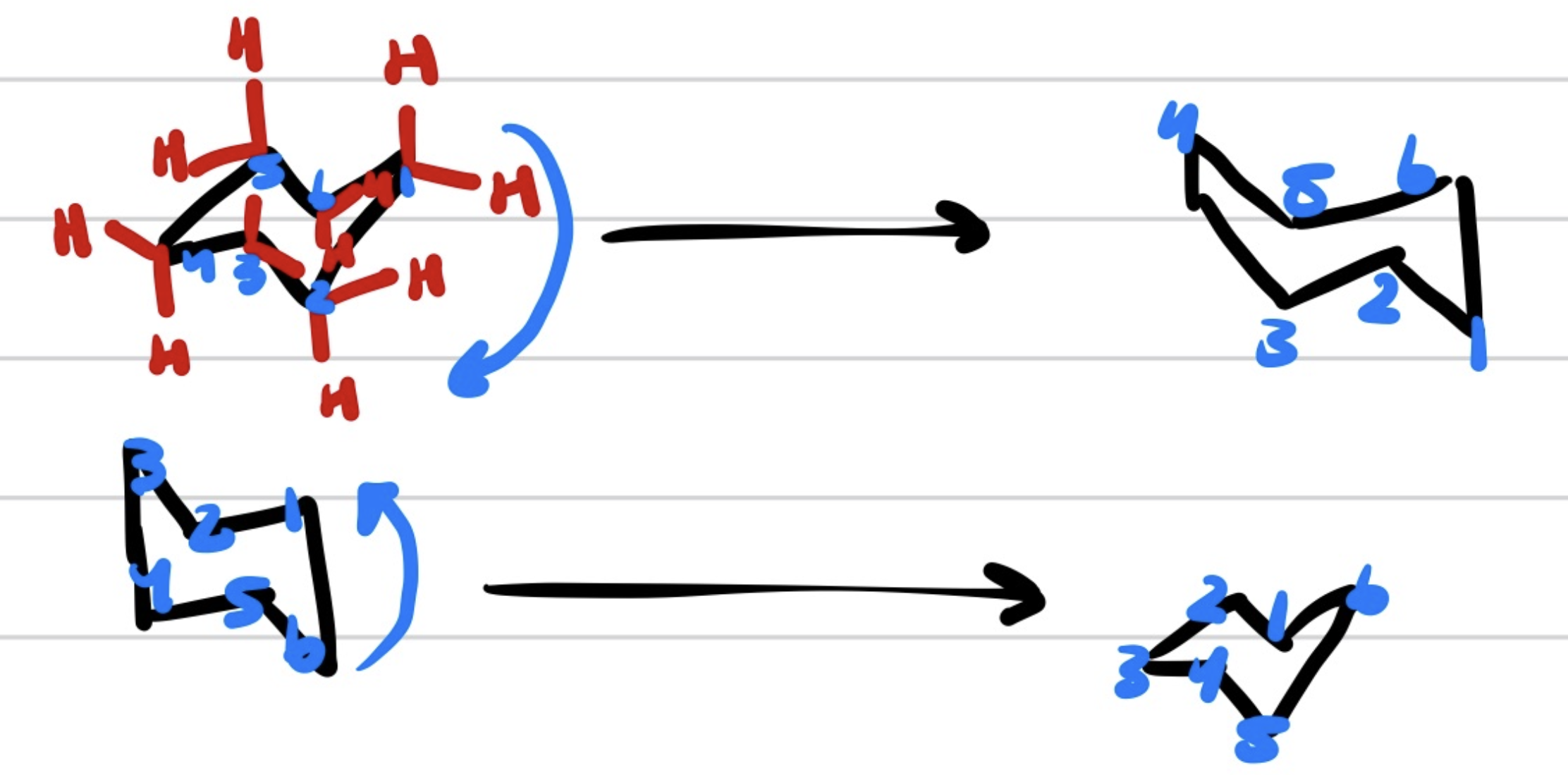 <p>Equatorial is more stable than axial</p>
