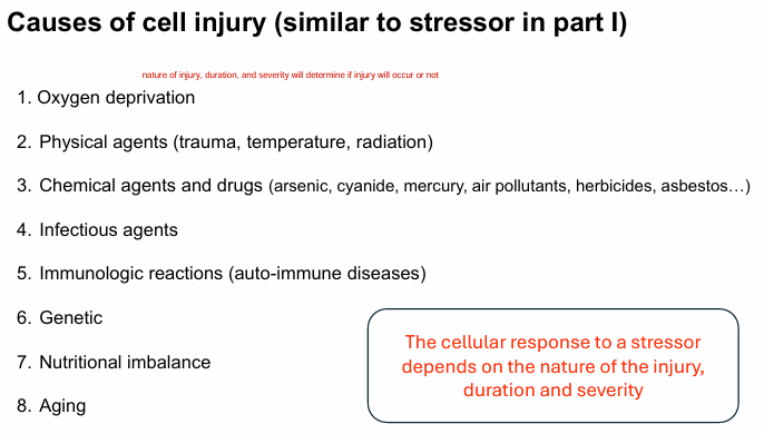 <p><strong>1) O2 deprivation</strong></p><p><mark data-color="#00d5f3" style="background-color: #00d5f3; color: inherit">2) physical agents (temperature, trauma, radiation)</mark></p><p><mark data-color="#00d5f3" style="background-color: #00d5f3; color: inherit">3) infectious agents</mark></p><p><strong>4) genetic</strong></p><p><strong>5) nutritional imbalance</strong></p><p><strong>6) aging</strong></p>