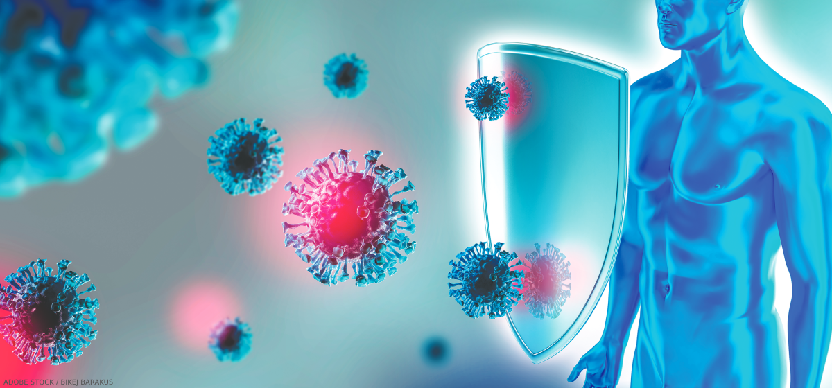 <p>une immunologie</p>