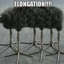 <p>U finna be pissing hella</p><p>Ur in a safe place, u can pee now no predator gonna catch u lacking</p>