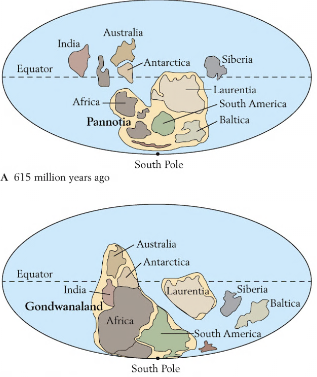 <p>What is this? Describe it.</p>