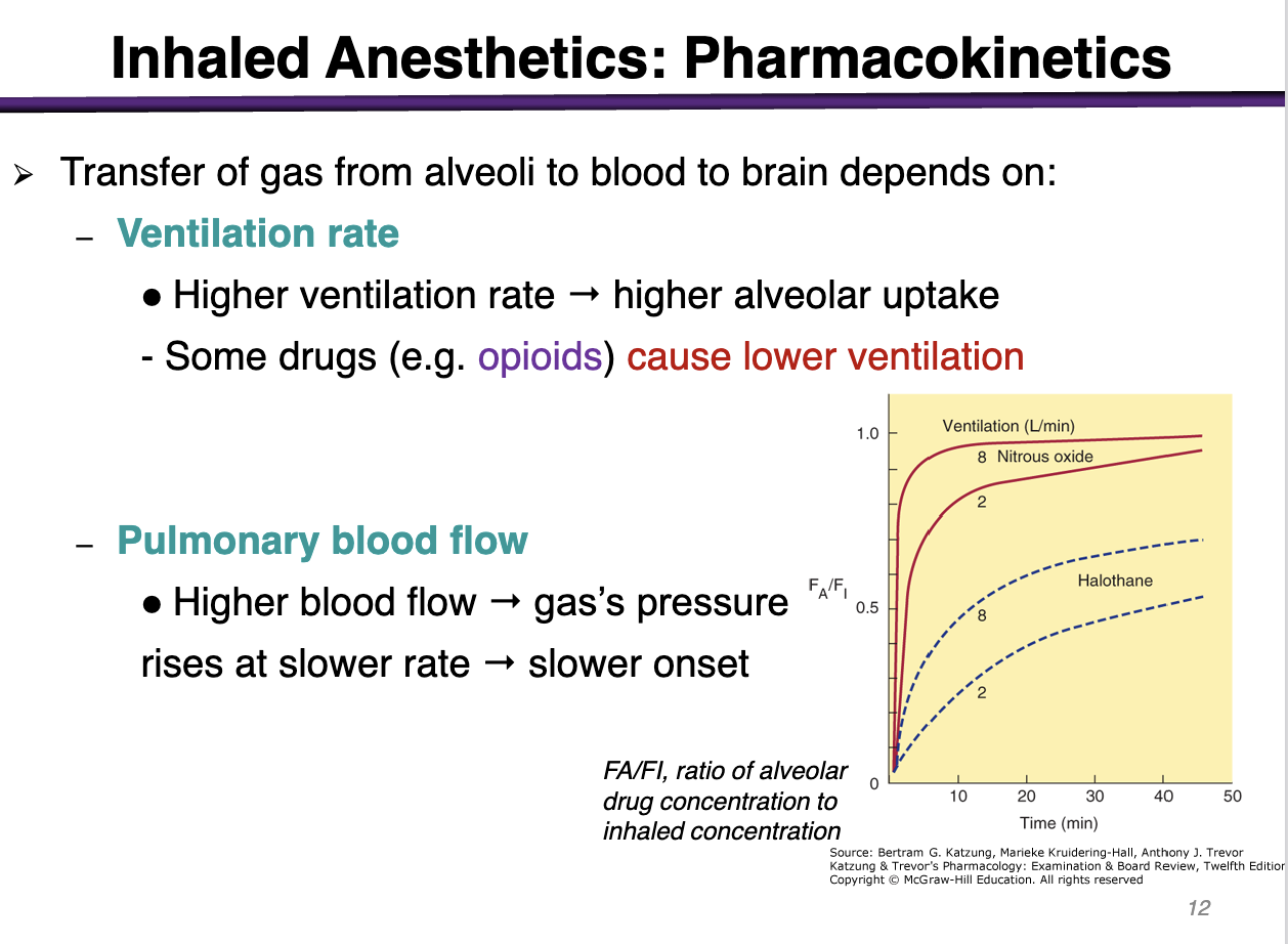 <p>higher alveolar uptake </p><p>Opioids cause lower ventilation</p>