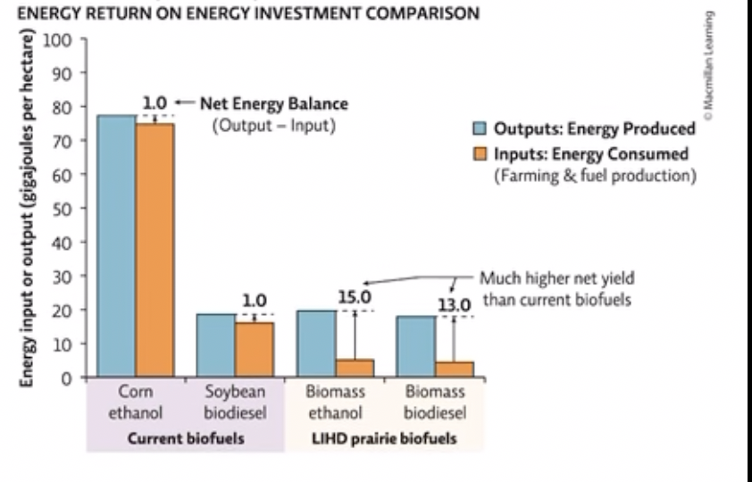 <p>Refer to infographic 4. use the data from the energy return on investment comparison graph to determine which crop offers the highest net energy return (output-input)</p><ul><li><p>corn grain ethanol</p></li><li><p>soybean biodiesel</p></li><li><p>biomass combustion</p></li><li><p>biomass ethanol</p></li><li><p>biomass biodiesel</p></li></ul><p></p>