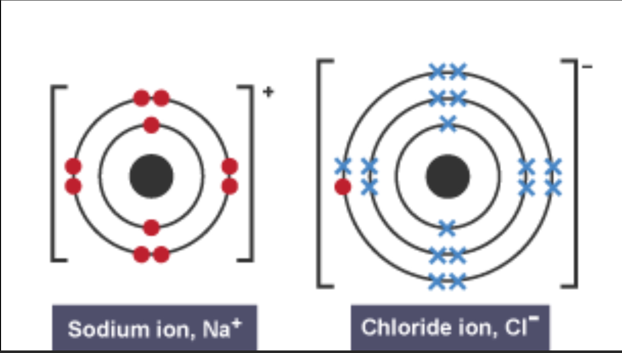 knowt flashcard image