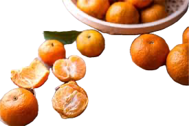 <p>a small citrus fruit, which is usually orange and easy to peel, known for its sweet and tangy flavor. </p><p></p>