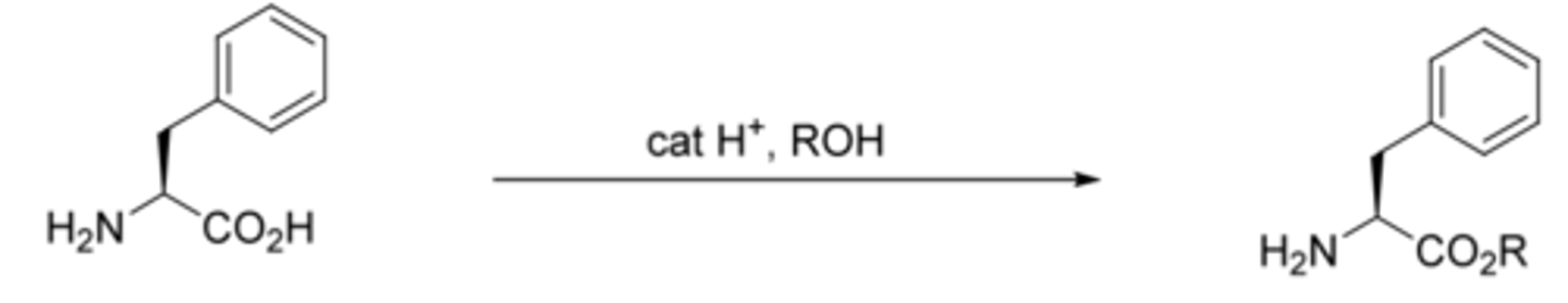 <p>This reaction is an example of what?</p>
