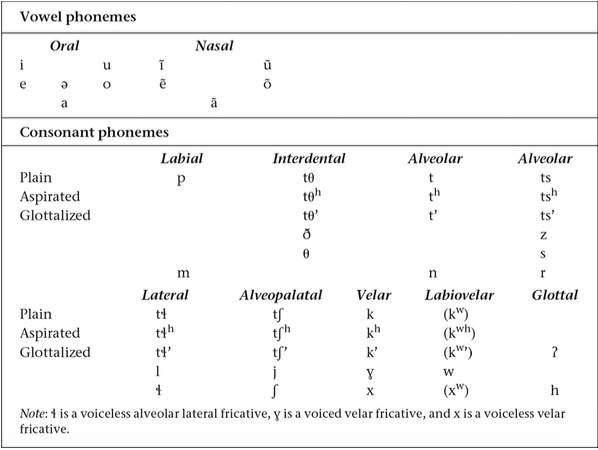 <p>Phonology</p><p><span>______________: is much more complex, they have distinctions between oral and nasal sounds, have phonemes we don’t, and a high/low tone distinction.</span></p><img src="https://knowt-user-attachments.s3.amazonaws.com/8b5e7b84-790c-4004-adbb-d9112d27c0fe.png" data-width="100%" data-align="center"><p></p><p></p>