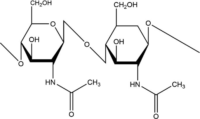 <ul><li><p>material that makes of the exoskeletons of a lot of arthropods</p></li><li><p>its monomers are glucose w/ nitrogen group attached to the 2nd carbon</p></li><li><p>we can’t break it down because of B-glucose (B1-4 glycosidic linkage)</p></li></ul><p></p>