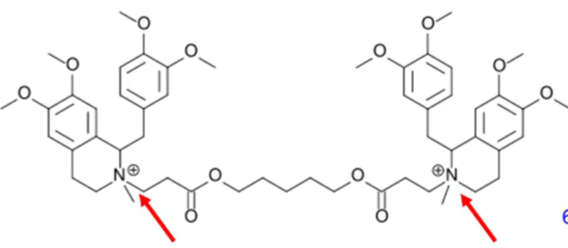 <p>explain the metabolism of atracurium besylate</p>