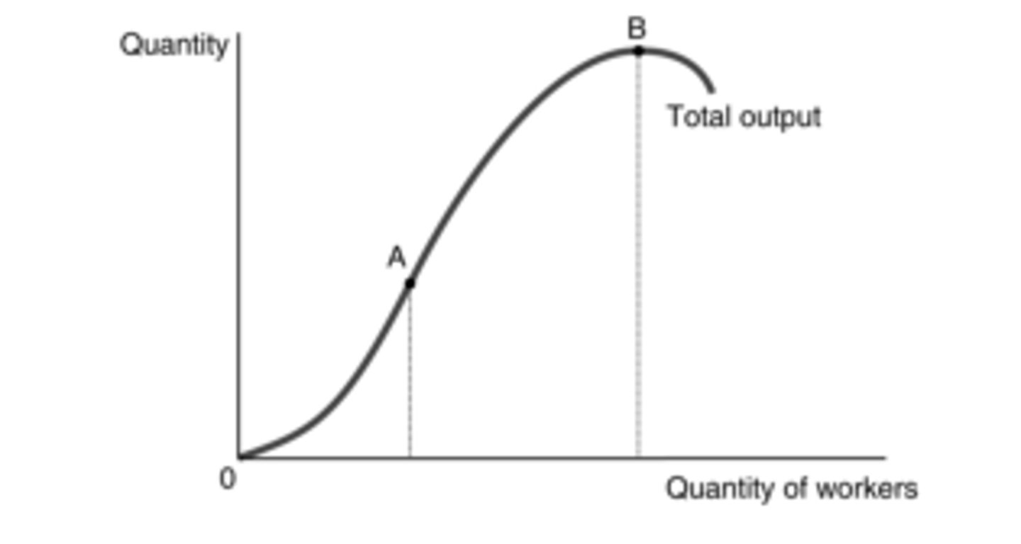 <p>tỉ lệ đầu ra</p>