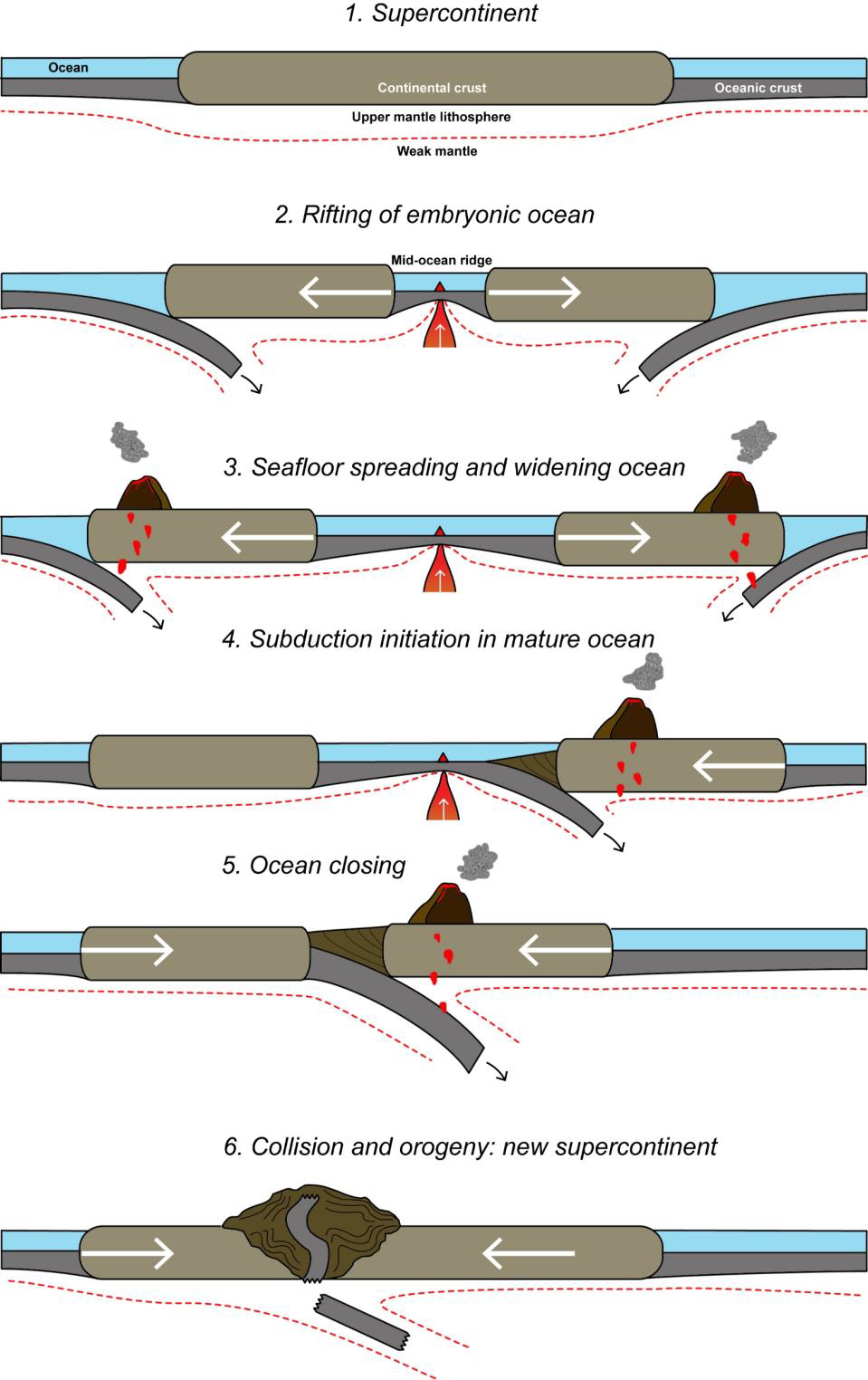 <ul><li><p>Describes how oceans open and close</p></li><li><p>i.e., ocean basin lifecycle </p></li></ul><p></p>