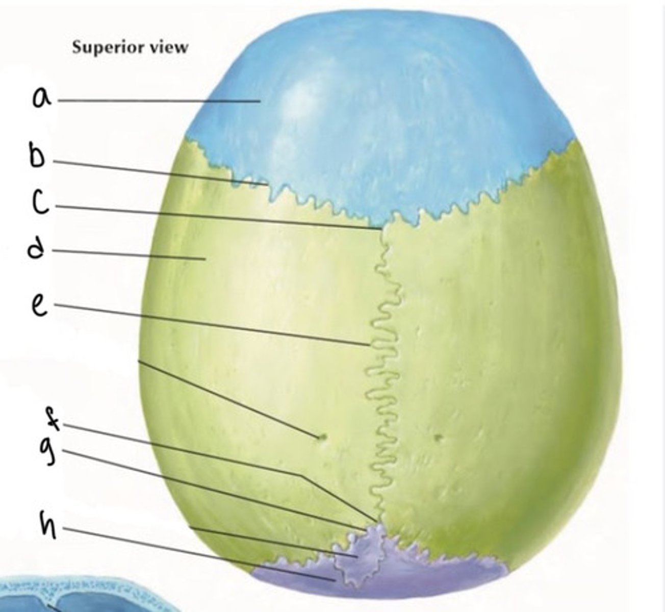 <p>What structure is e?</p>