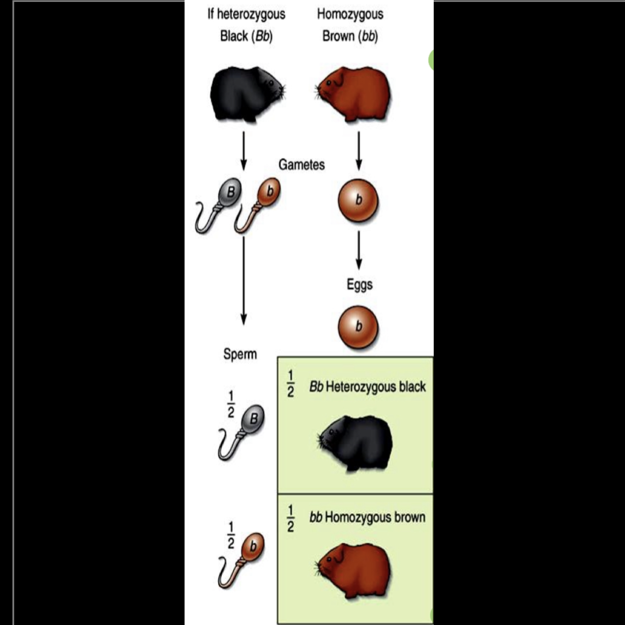 <p>Cruce de prueba</p>