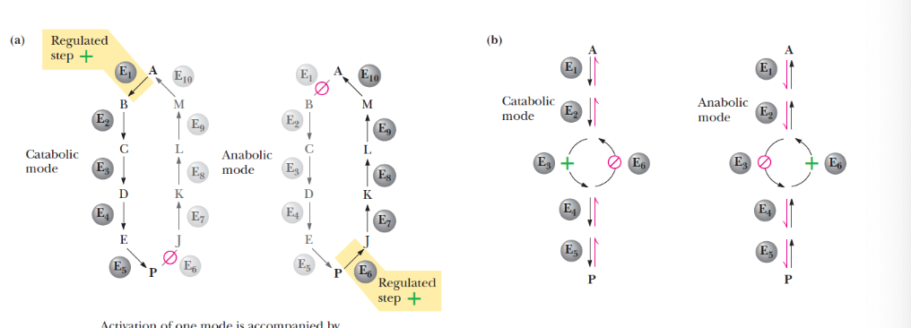 <p>describe this image</p>