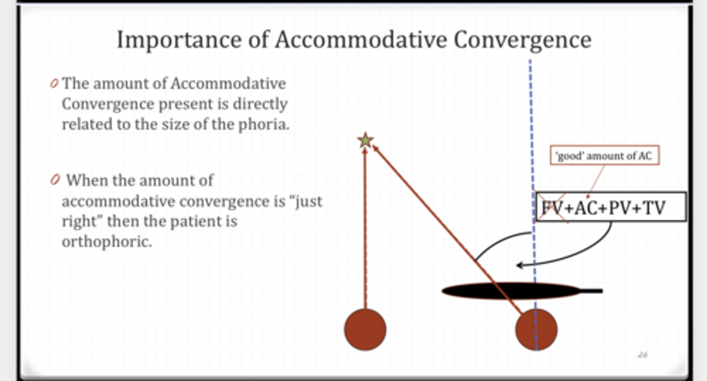 <p>True or False: </p><p>The amount of accommodative convergence present is directly related to the size of the phoria </p>