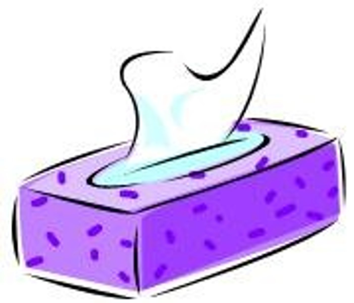 <p>tissue (Kleenex)</p>