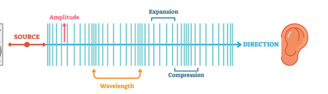 <p>What wave is this?</p>