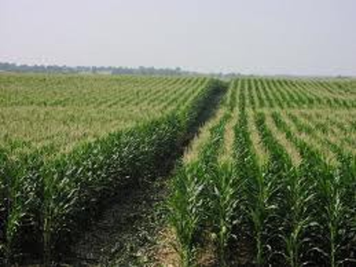<p>plowed land, field, region</p>