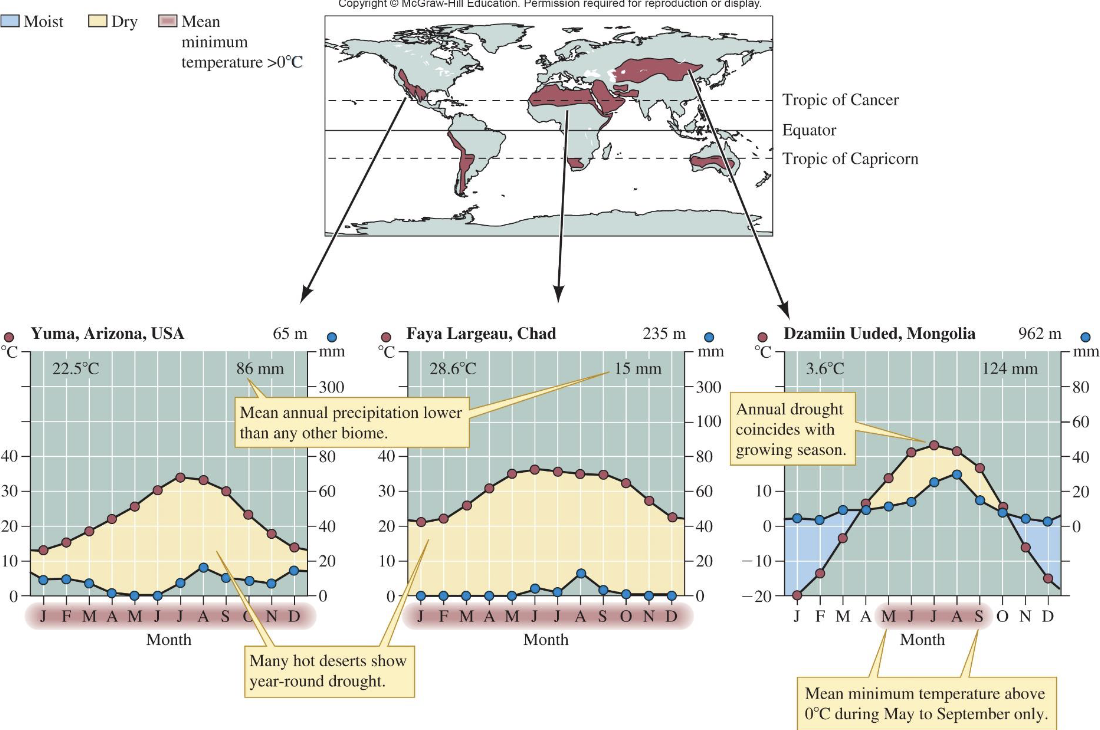 <ul><li><p>Major bands at ~30° N/S; about 20% of Earth's land</p></li><li><p>water loss exceeds precipitation</p></li><li><p>soils low in organic matter</p></li><li><p>sparse to absent vegetation</p></li><li><p>animals adapted</p></li><li><p>high biodiversity in some deserts</p></li></ul><p></p>