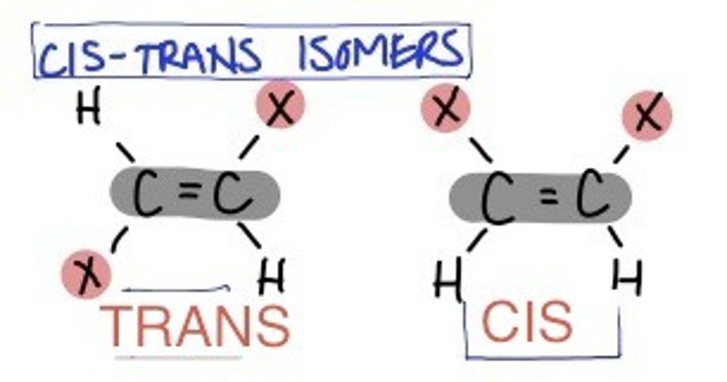 <p>A single carbon bond allows for rotation</p><p></p><p>A double bond stops this rotation from taking place</p><p></p><p>This means the arms of the molecule are locked in position</p><p></p><p>Therefore, if the chlorines are on the same side we call this <em>cis </em>and<em> </em>if the chlorines are on opposite side we call it <em>trans</em></p>
