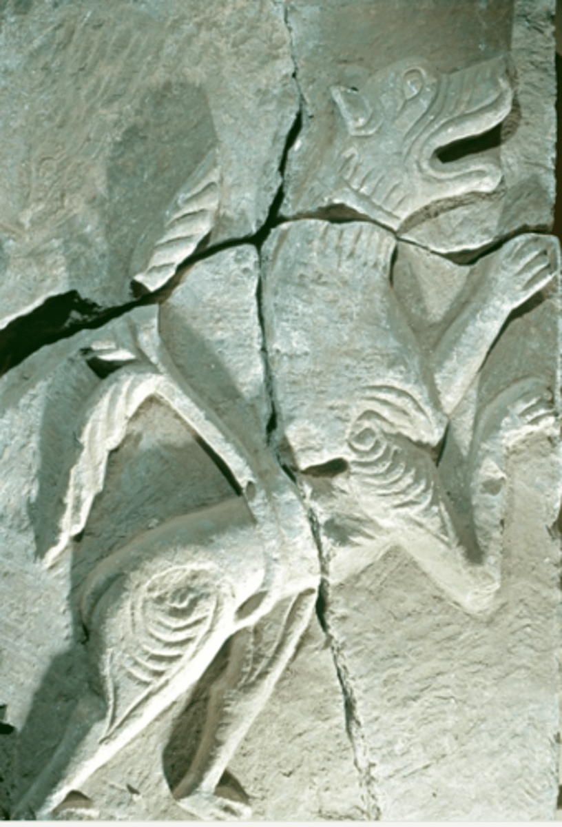 knowt flashcard image