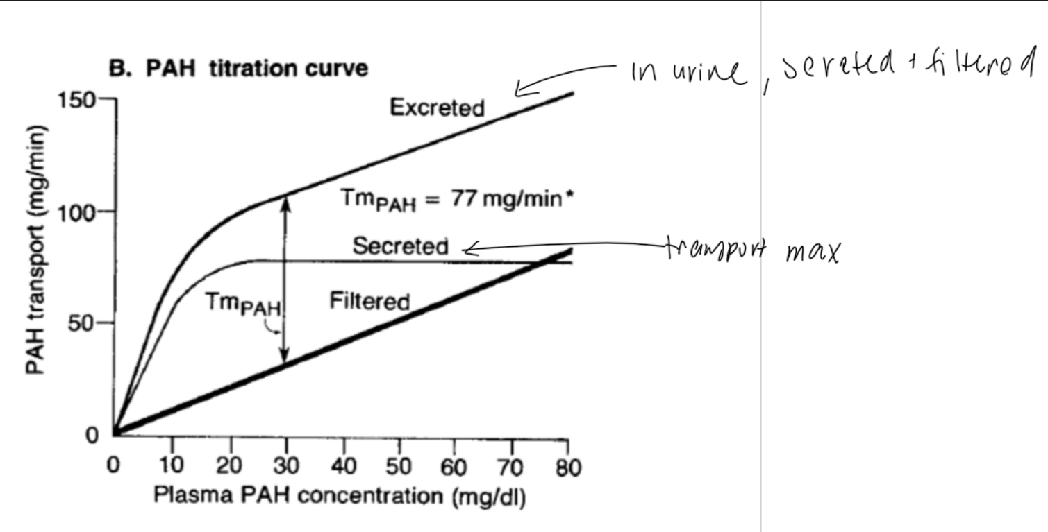 <p>what does the titration curve of PAH show?</p>