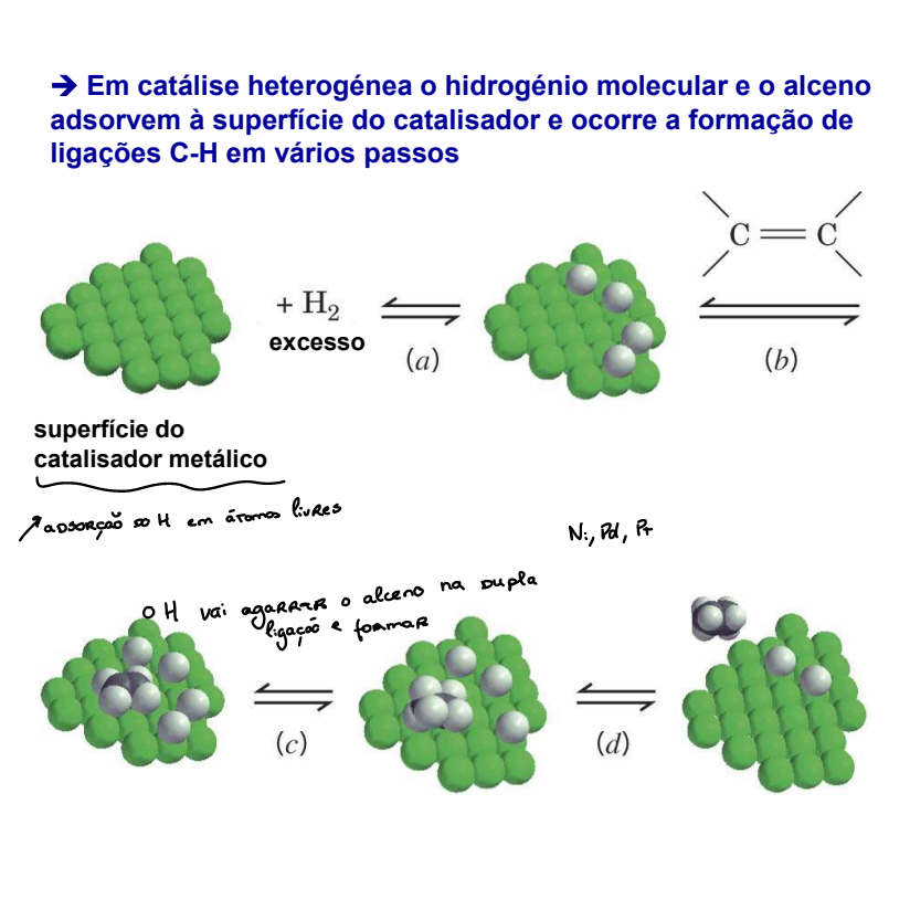 <p>Diminui a energia de ativação que permite a transformação, porque não vai permitir reagir de outras formas e focar no produto desejado</p><p>Vai aumentar um novo patamar reaccional</p>