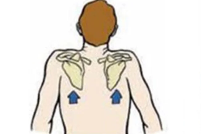 <p>what is this scapular motion?</p>