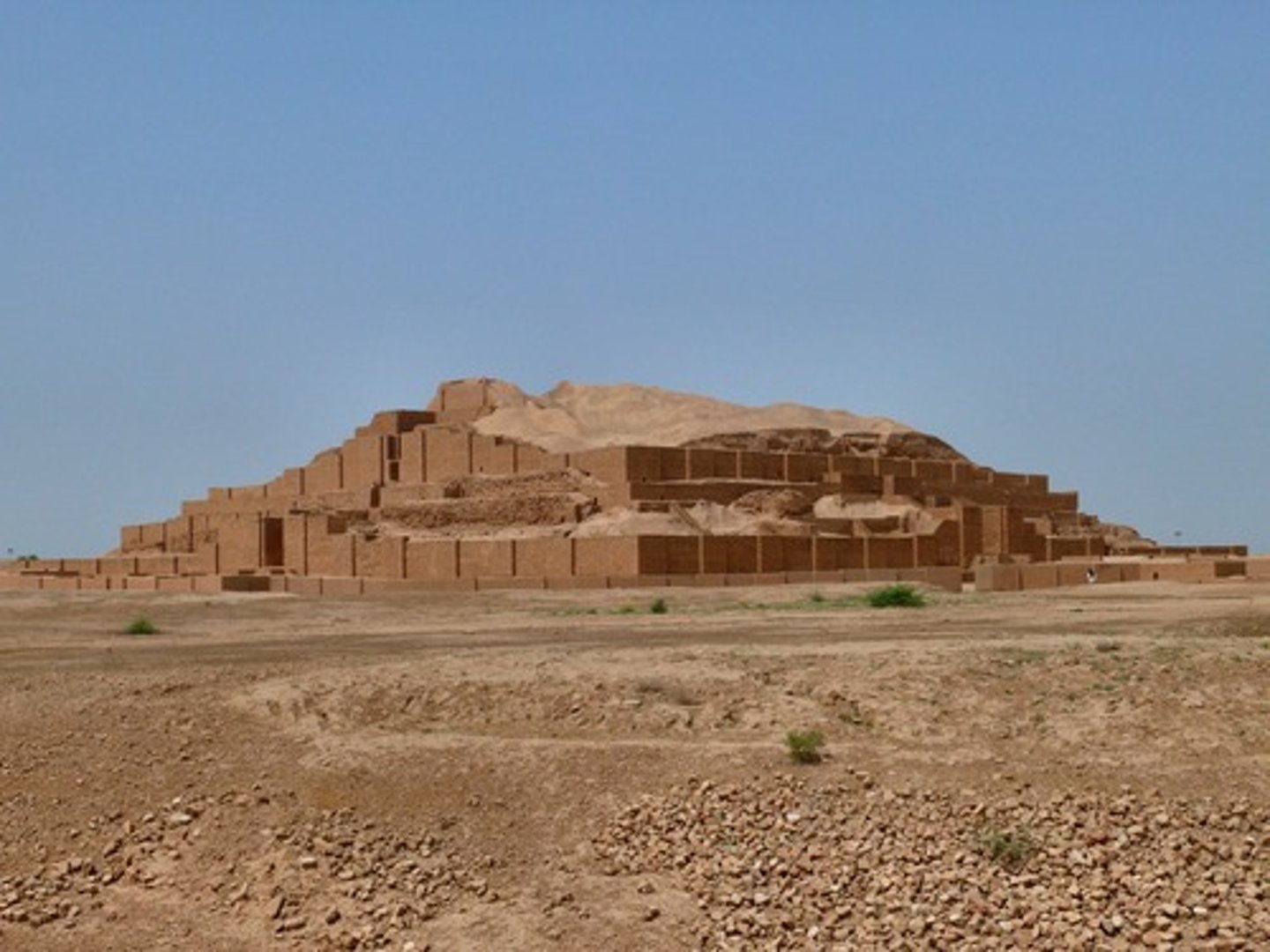 term image