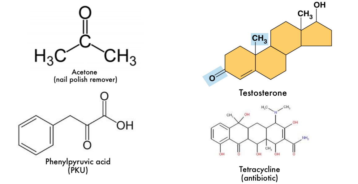 <p>Ketones</p>
