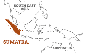 <p>one of the Sunda Islands of western Indonesia. It is the largest island that is fully within Indonesian territory</p>