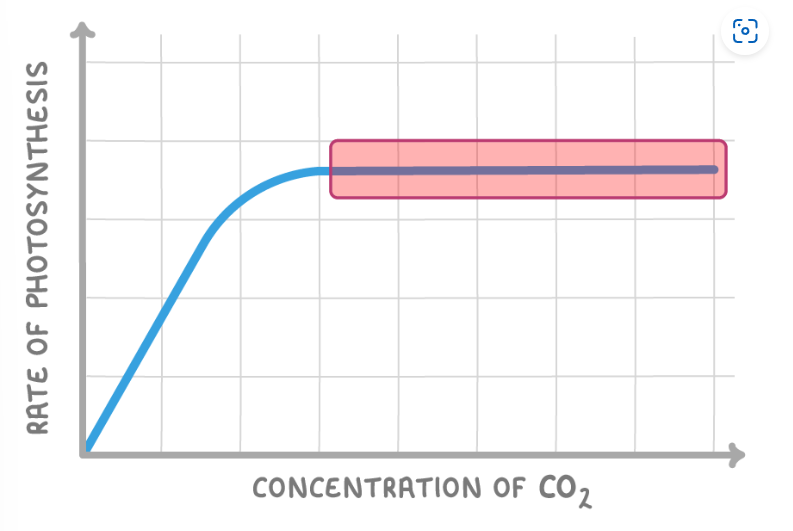 <p><span>When a graph levels off like this we say that it has:</span></p>
