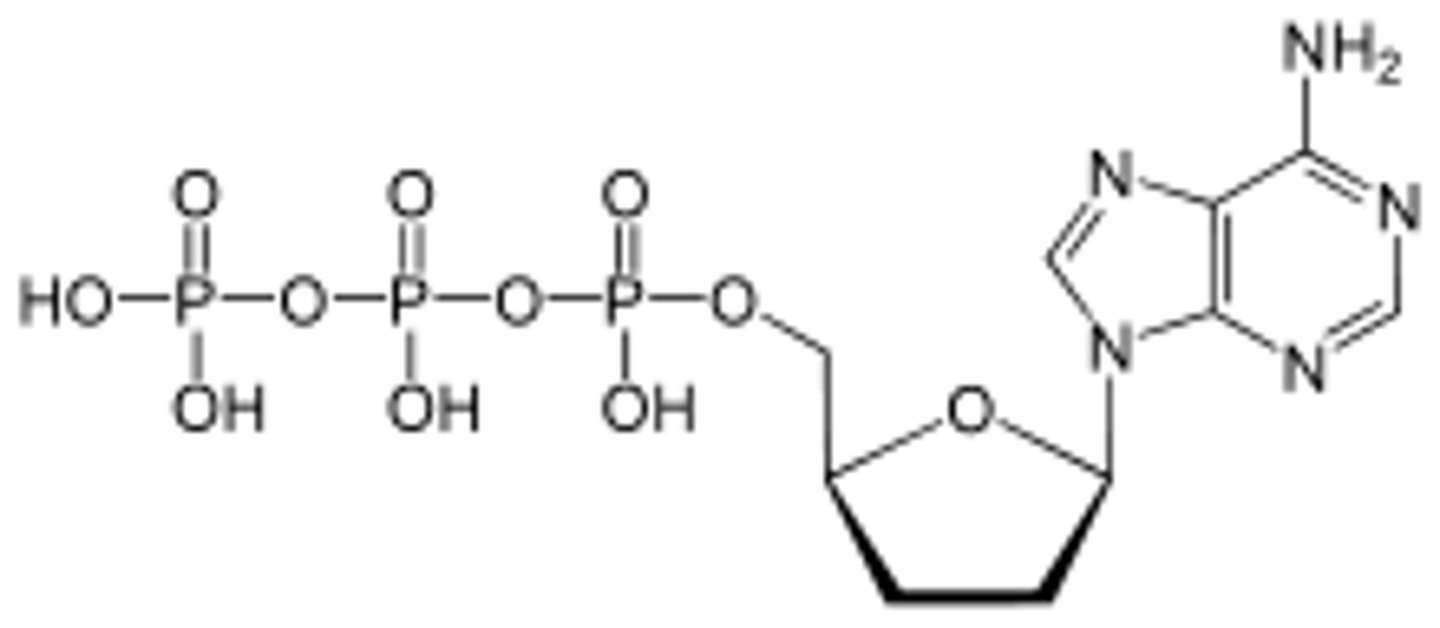 knowt flashcard image