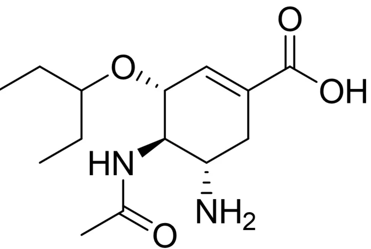 <p>Oseltamivir carboxylate is the active form of oseltamivir. Which region restricts volume of distirubtion?</p>