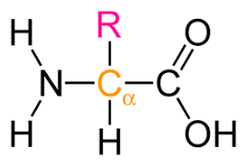 <p>What structure is this?</p>