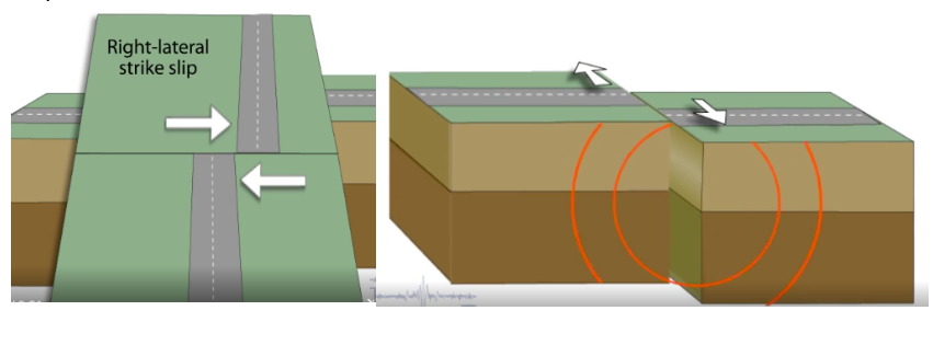 <p>Strike-slip fault. As you face the fault, the opposite side of the fault moves to the right.</p>