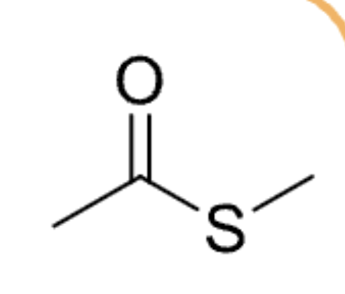 <p>Carboxylic Acid (4)</p>