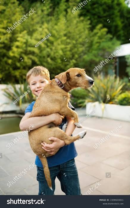 <p>Word:I had</p><p>Personal connection:<span style="background-color: oklch(0.9902 0.004 106.470001); color: oklch(0.3039 0.04 213.679993 / 0.75);"><span>I had a dog named Basha</span></span></p>