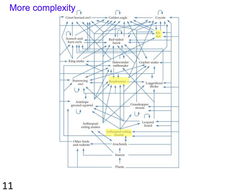 <p>More complexity</p>