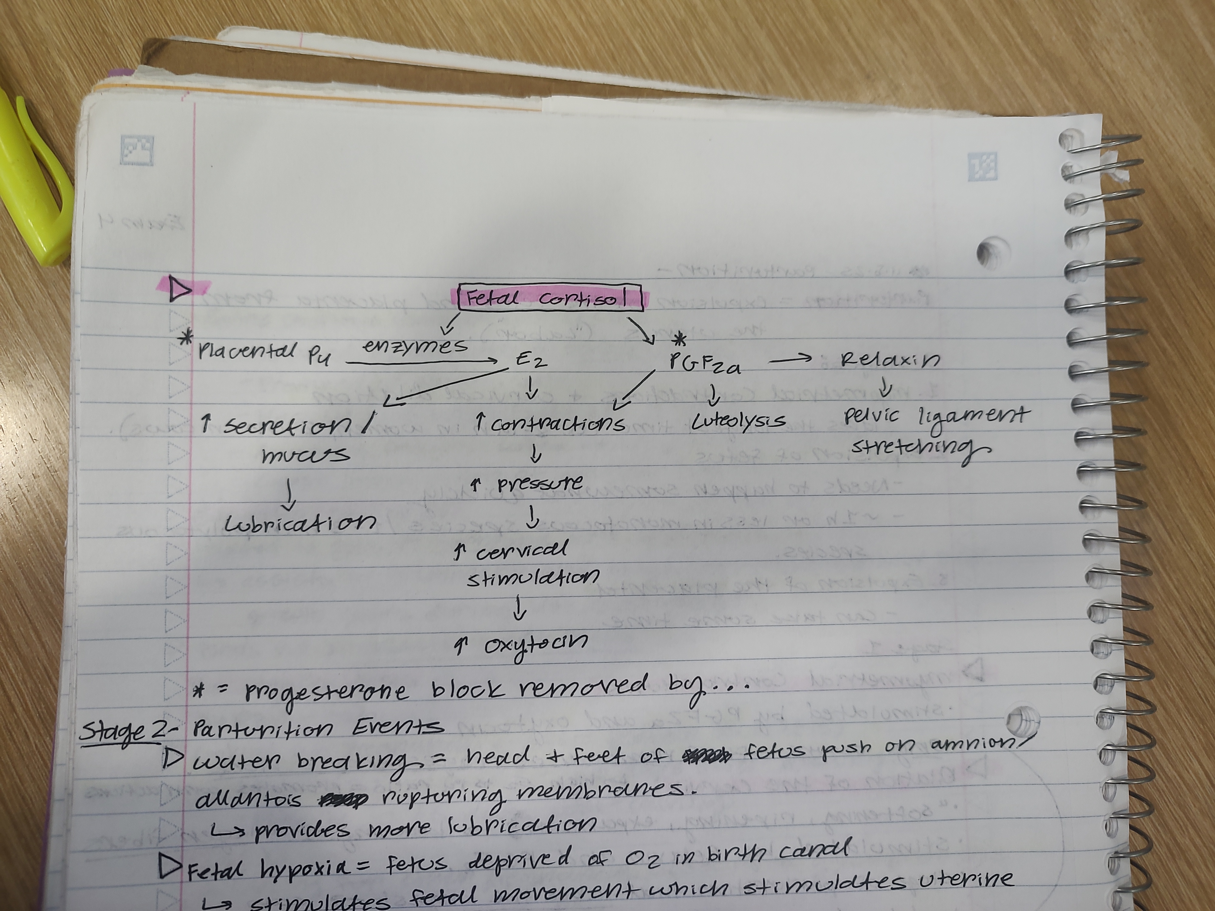 knowt flashcard image