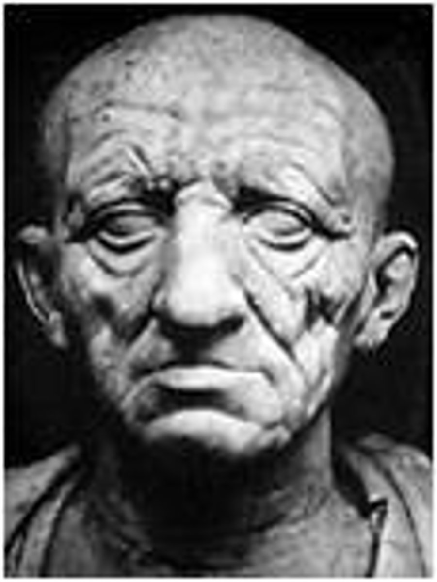 <p>Roman portrait style emphasizing hyper-realism and imperfections</p>