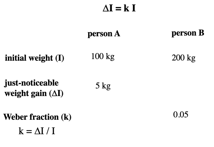 <p>difference thresholds are larger for larger stimuli - identified by Weber</p><ul><li><p>Weber’s law: ∆I = k I</p><ul><li><p>∆I = difference threshold (JND)</p></li><li><p>I = physical magnitude of stimulus</p></li><li><p>k = constant that depends on sensory system</p></li><li><p>The difference threshold is a <strong>constant proportion</strong> of physical magnitude of stimulus</p></li></ul></li><li><p>Fechner suggested using JNDs to describe perceived intensity (produce equal steps in sensation)</p></li><li><p>In reality, sensory steps at upper end of scale require larger increases in stimulus intensity to get equal sensation increasing steps</p></li></ul><p></p>