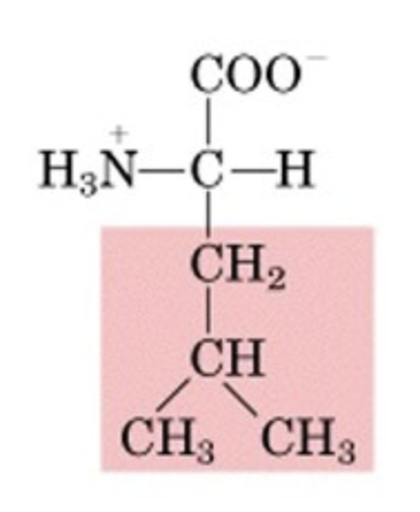 <p>What’s this aminoacid?</p>