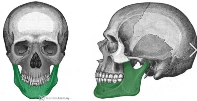 <p>What bone is this?</p>