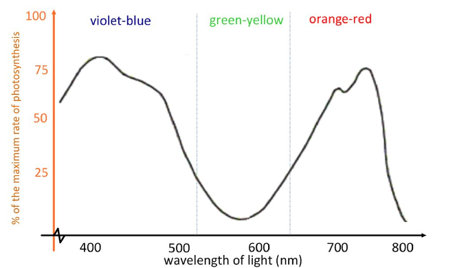<p>what graph is this?</p><p></p>