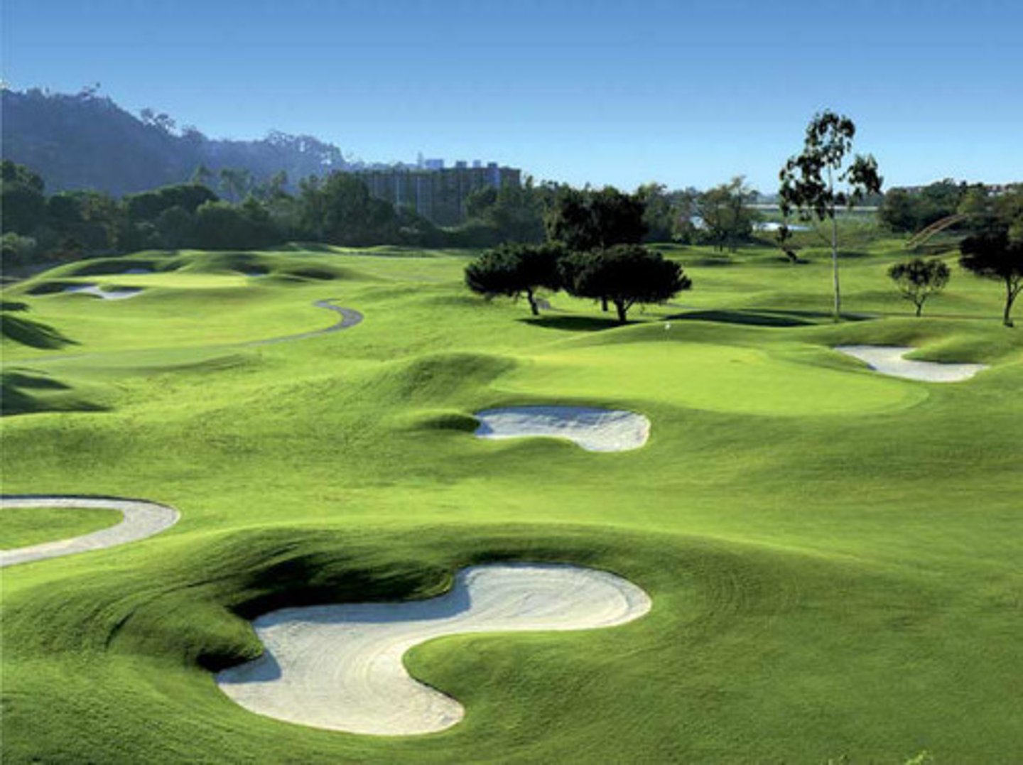 <p>pole golfowe</p>